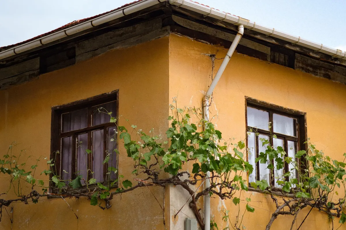 Downpipe Maintenance: How to Stop Leaks and Prevent Damp